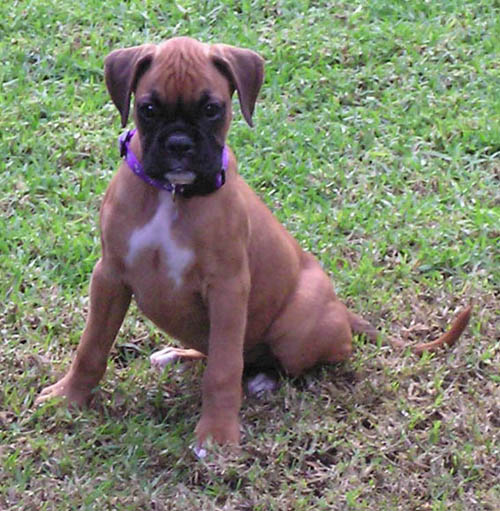 Roxy's First day Home