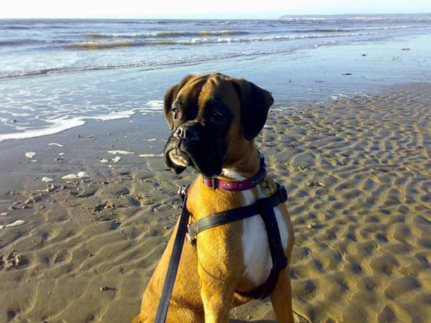 Rubes_Beach