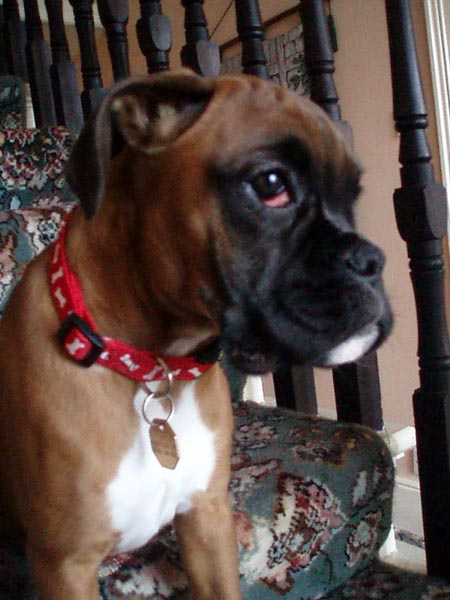 Ruby 15 weeks.
