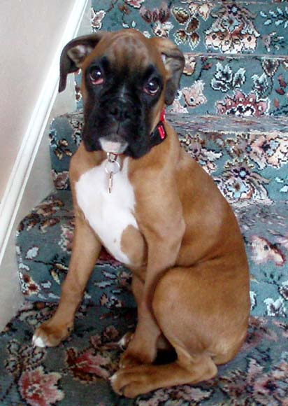 Ruby 15 weeks.