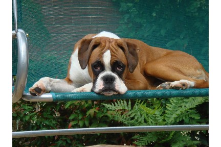 Ruby 2006