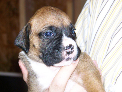ruby 3 weeks