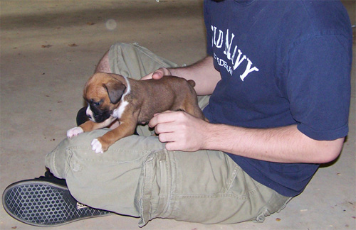 ruby 4 weeks