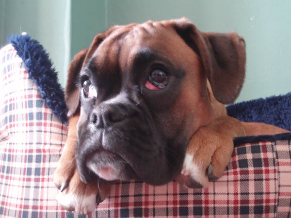 Ruby 6 Months 2