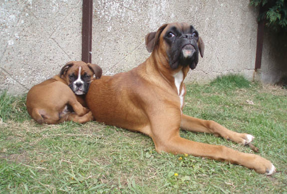 Ruby and Angel