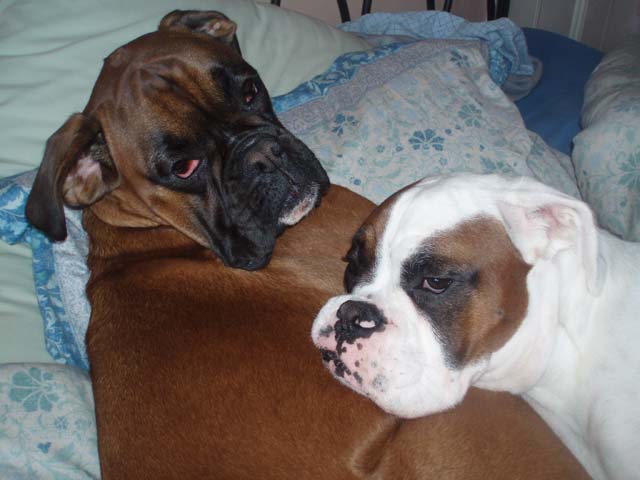 Ruby and Luka