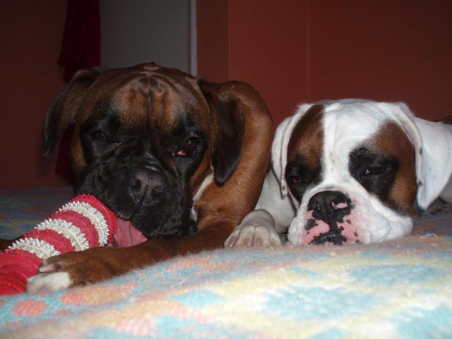 Ruby and Luka