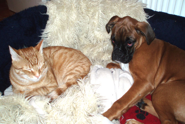 Ruby and Milo!