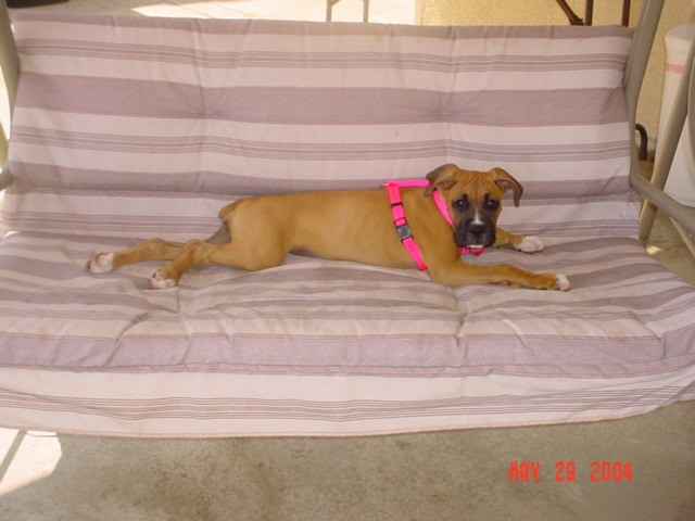 Ruby at 3 months old...