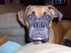 Ruby close up