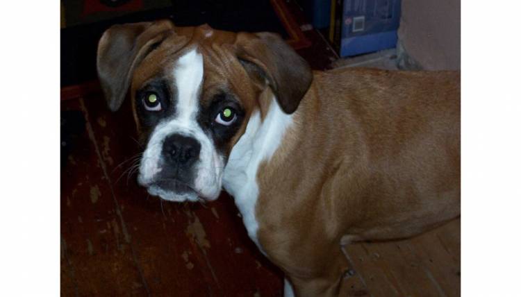 Ruby Doo