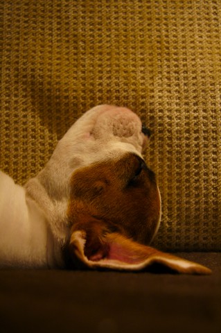 Ruby-doo!!