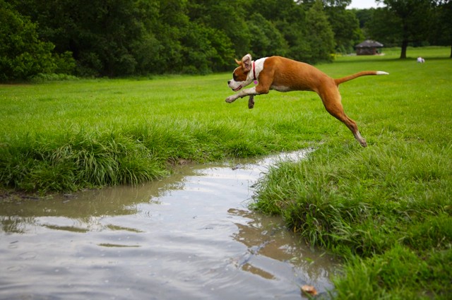 Ruby mid flight