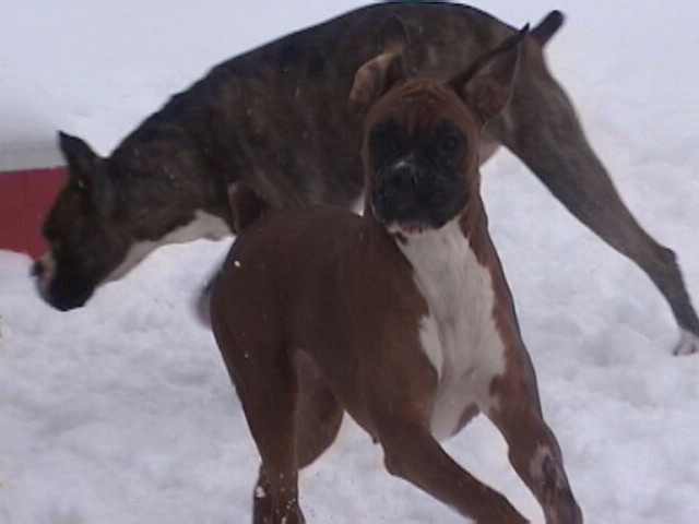 Ruby playing