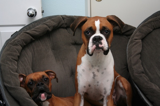 Ruby talks and Jack strikes a pose !