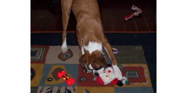 Ruby Xmas 2005