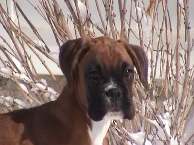 Ruby