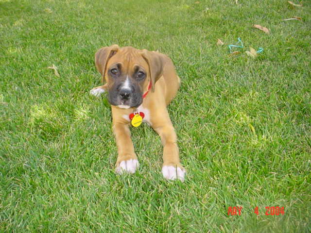 Ruby