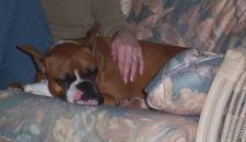 Ruby