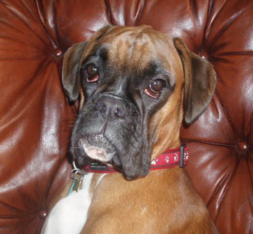 Ruby