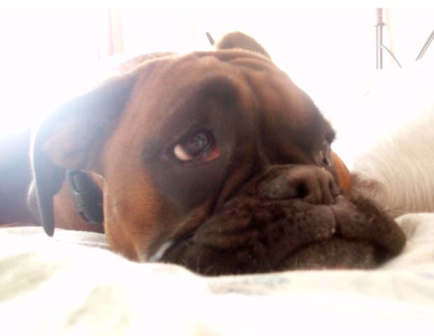 Ruby