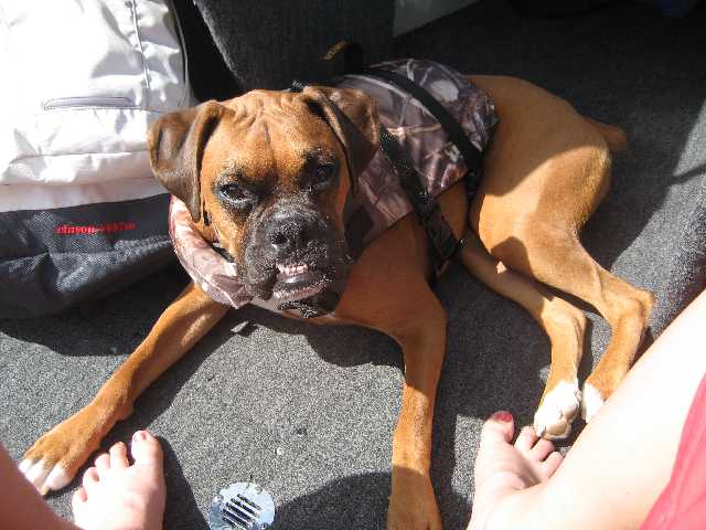 ruby