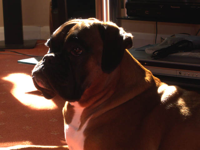 Ruby8