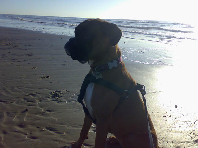 Ruby_
