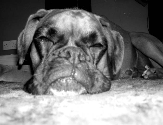 Ruby_10_Months_Old