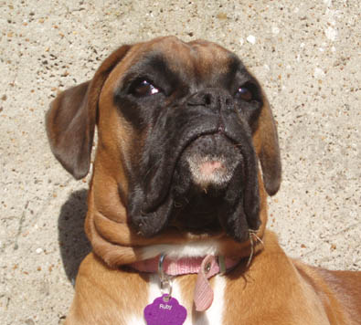 Ruby_8_5_months