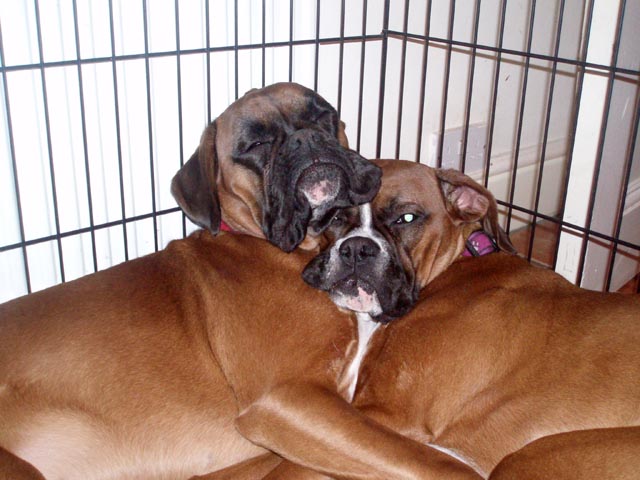 Ruby_and_Angel