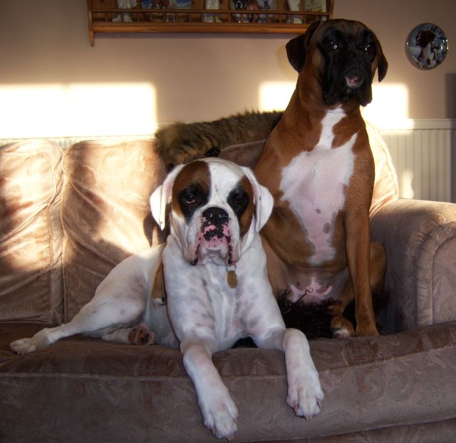 Ruby_and_Luka_Sept_08_003-640x480