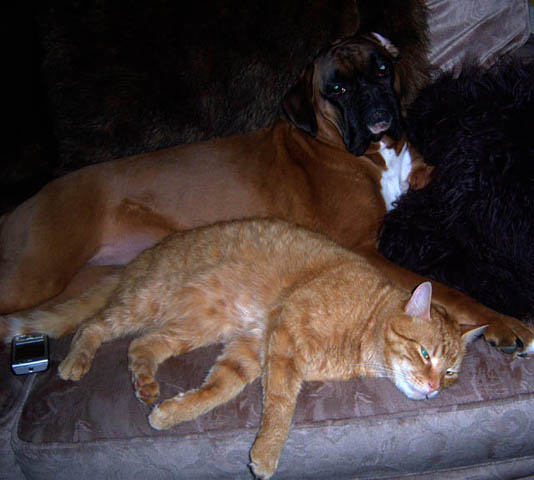 Ruby_and_Milo_a
