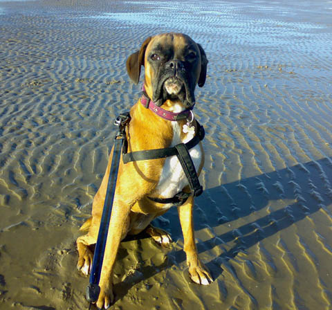 Ruby_Beach