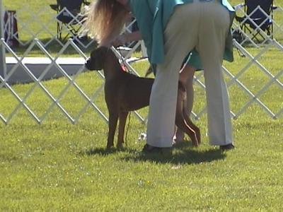 Ruby's first show weekend
