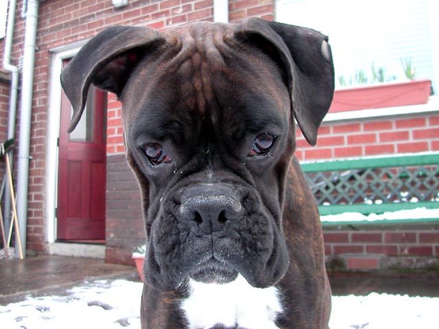 rucloseup