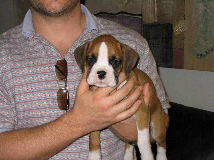 Rudy 2