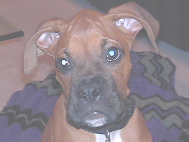 Rudy - Aren't I cute?