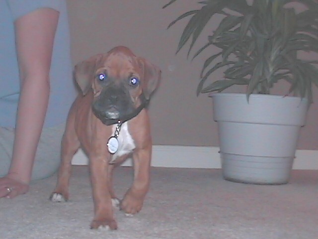 Rudy at 6 weeks