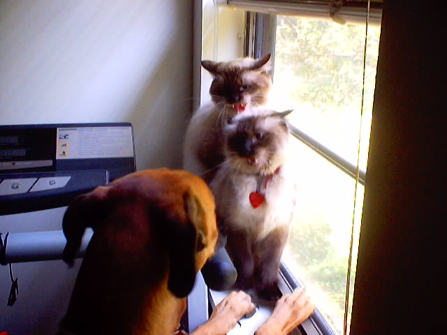 Rudy tryng to fit in........