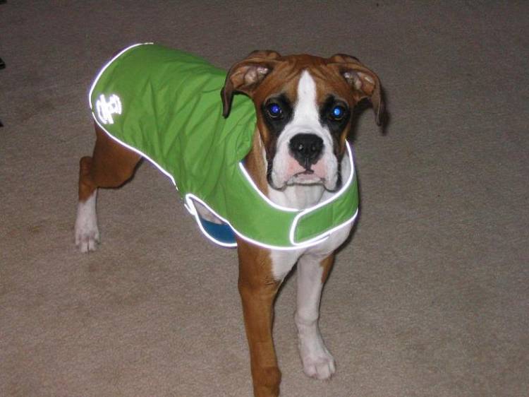 Rudy's New Jacket