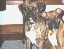 Rudy's parents- Bubba & Lucy
