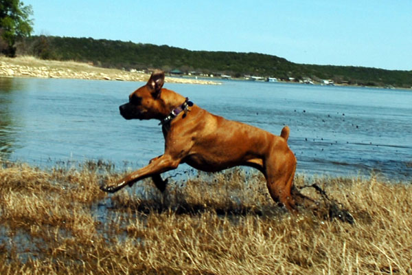 Run Girl Run