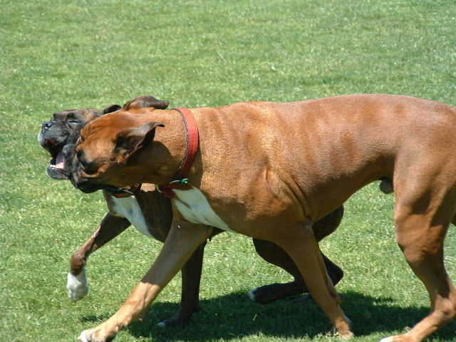 run