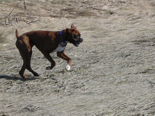 Running around