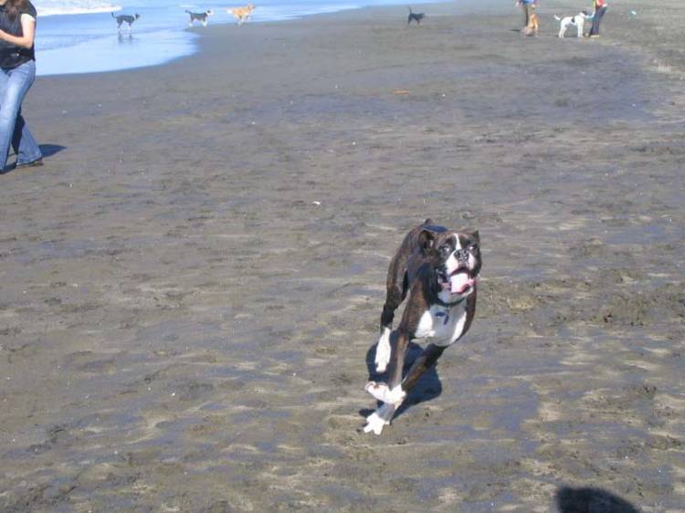 Running at the Beach