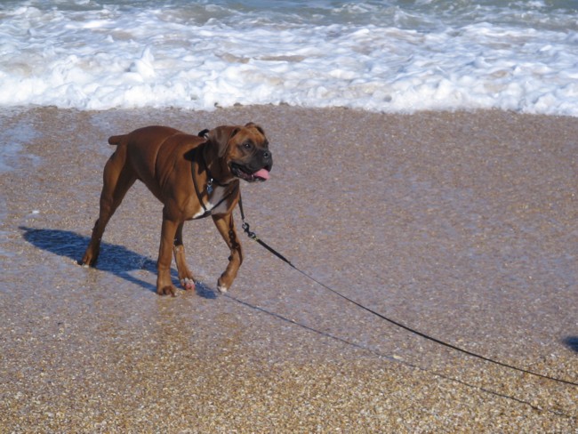 running from the waves