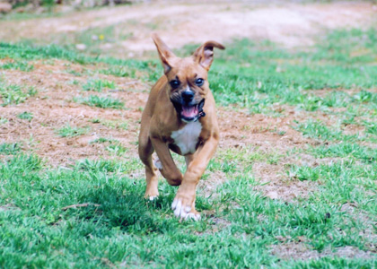 Running hard