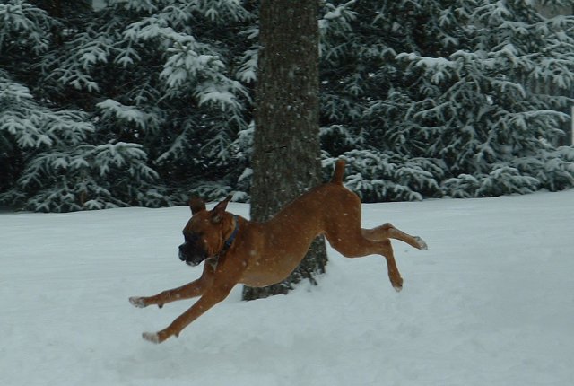 Running In Snow