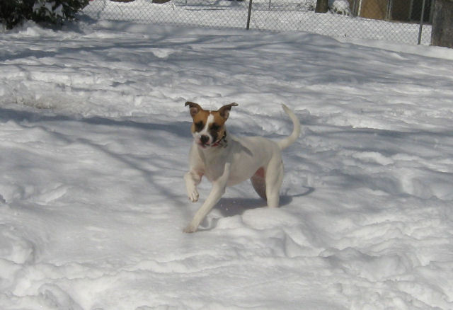 Running in snow